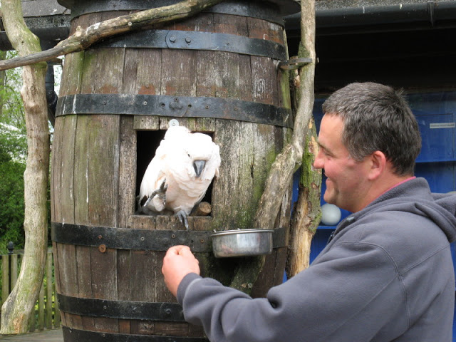 Birdland Park & Gardens 19.05.2007