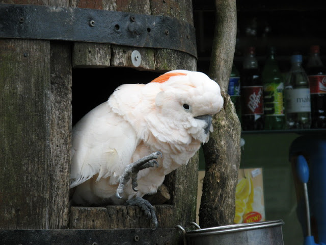 Birdland Park & Gardens 19.05.2007