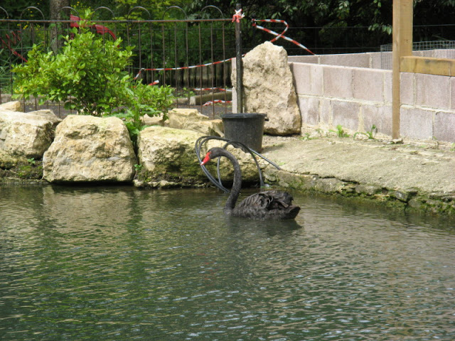 Birdland Park & Gardens 19.05.2007