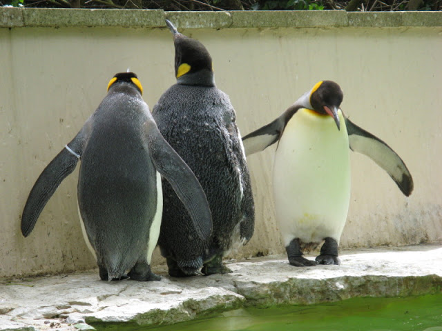 Birdland Park & Gardens 19.05.2007