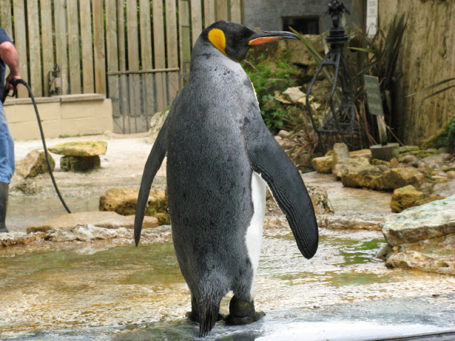 Birdland Park & Gardens 19.05.2007