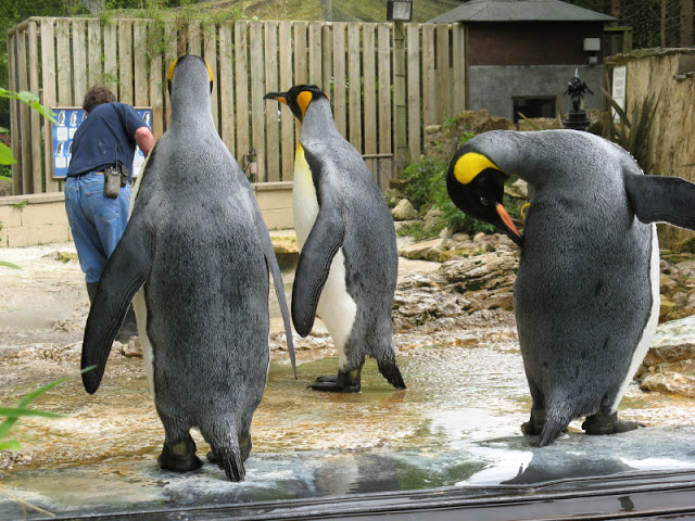 Birdland Park & Gardens 19.05.2007