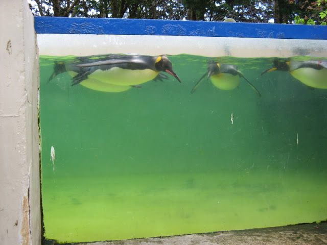 Birdland Park & Gardens 19.05.2007