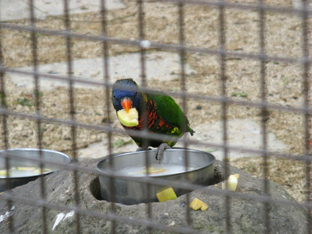 Birdland Park & Gardens 19.05.2007