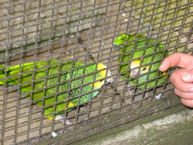 Birdland Park & Gardens 19.05.2007