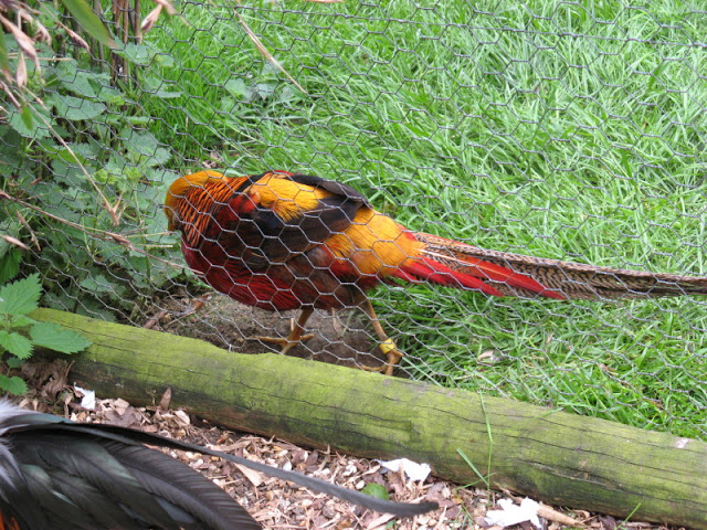 Birdland Park & Gardens 19.05.2007