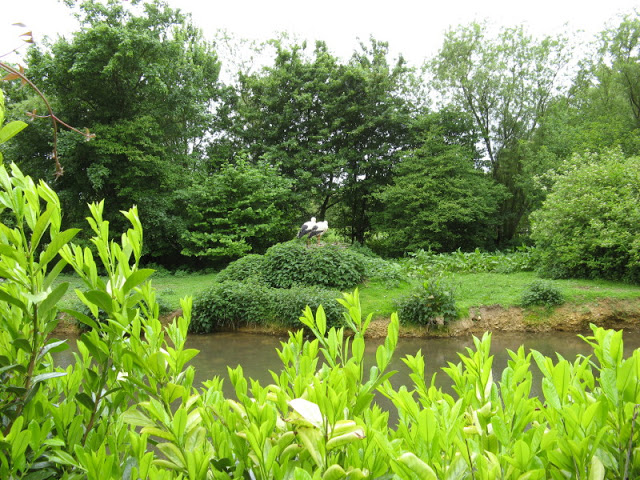 Birdland Park & Gardens 19.05.2007