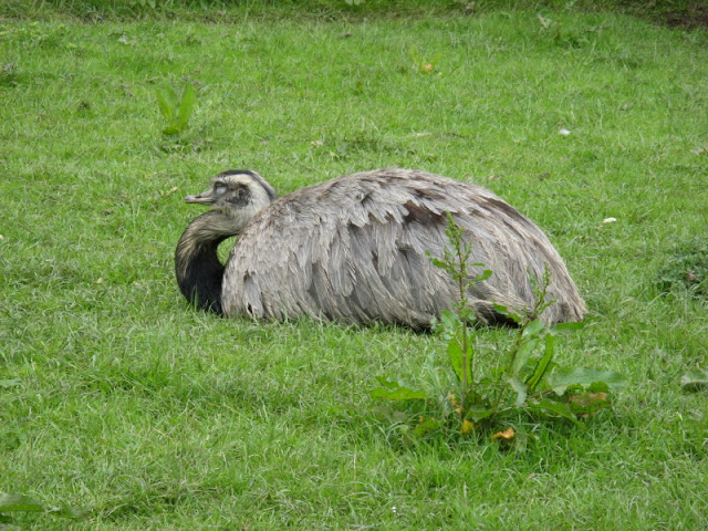 Birdland Park & Gardens 19.05.2007