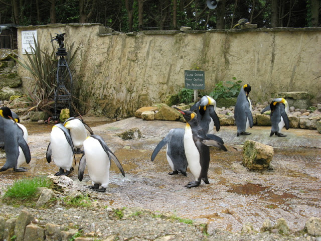 Birdland Park & Gardens 19.05.2007
