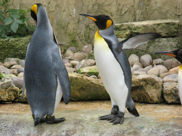 Birdland Park & Gardens 19.05.2007