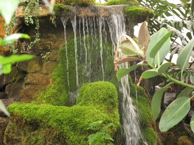 Birdland Park & Gardens 19.05.2007