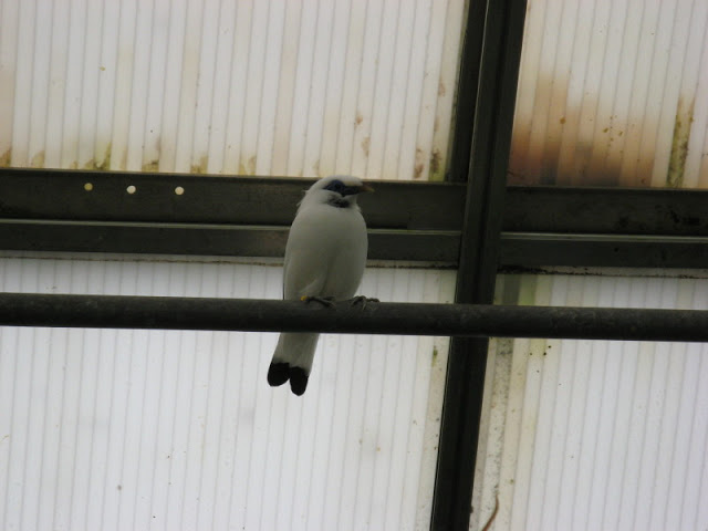 Birdland Park & Gardens 19.05.2007