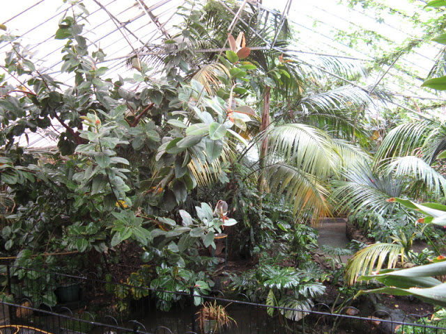 Birdland Park & Gardens 19.05.2007