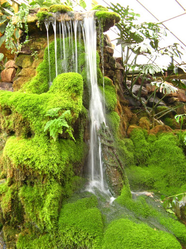 Birdland Park & Gardens 19.05.2007