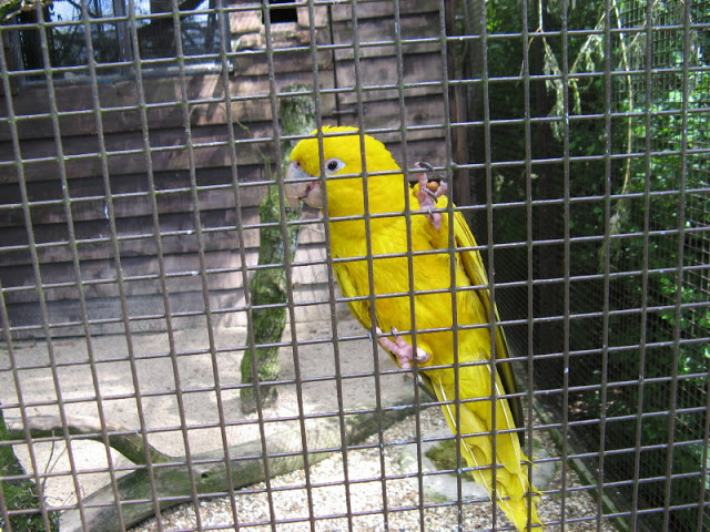 Birdland Park & Gardens 19.05.2007