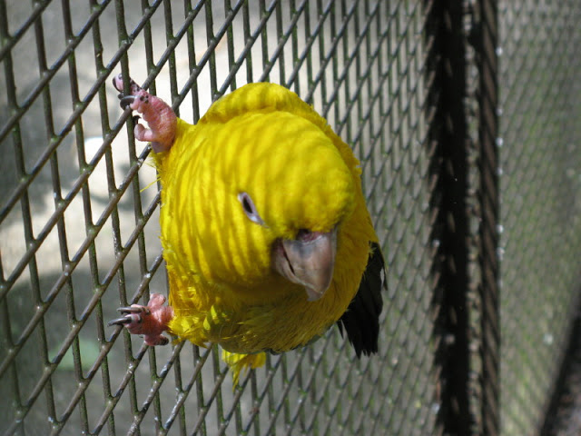 Birdland Park & Gardens 19.05.2007