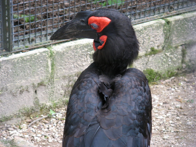 Birdland Park & Gardens 19.05.2007