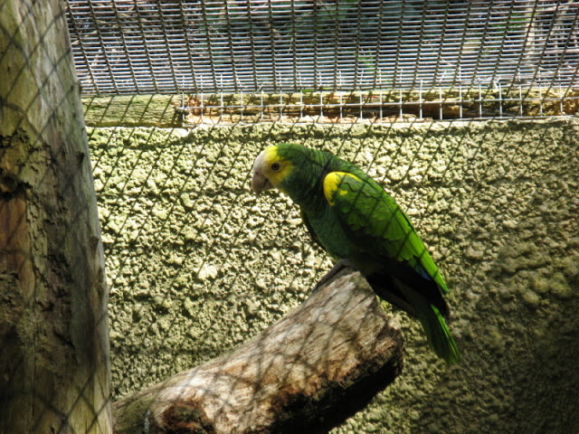 Birdland Park & Gardens 19.05.2007