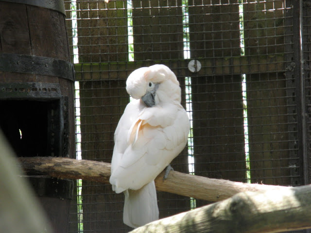 Birdland Park & Gardens 19.05.2007