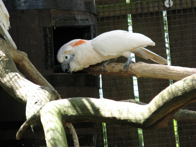 Birdland Park & Gardens 19.05.2007