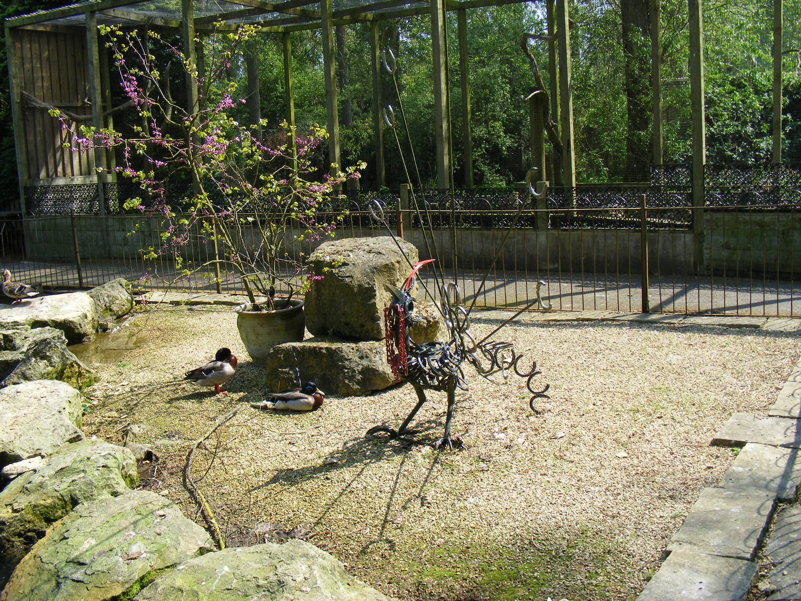 Birdland Park & Gardens, 22 April 2011