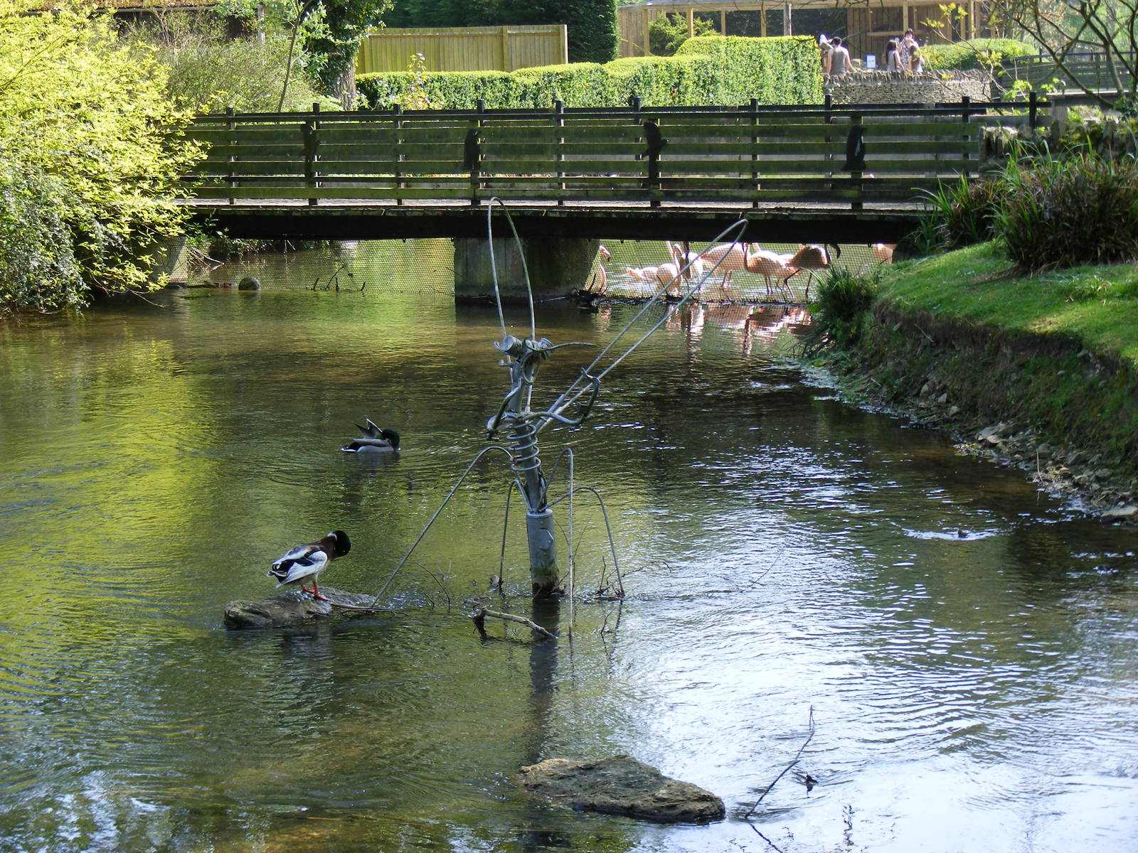Birdland Park & Gardens, 22 April 2011