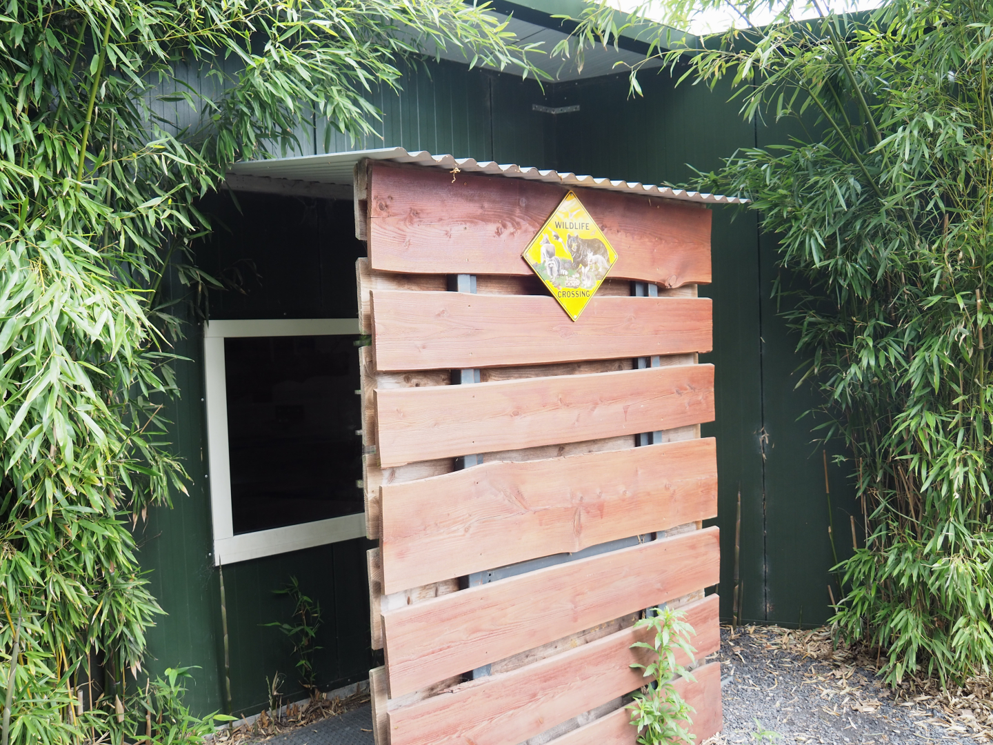 Birds and Yellow-spotted rock hyrax indoor exhibit viewing area, 2022-05-17