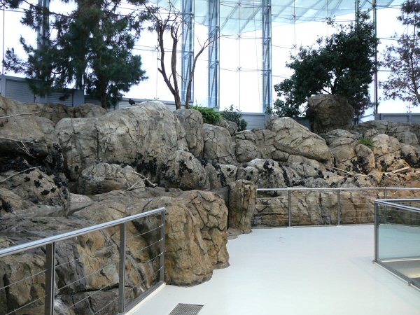 Birds at Lisbon Oceanario (aquarium)