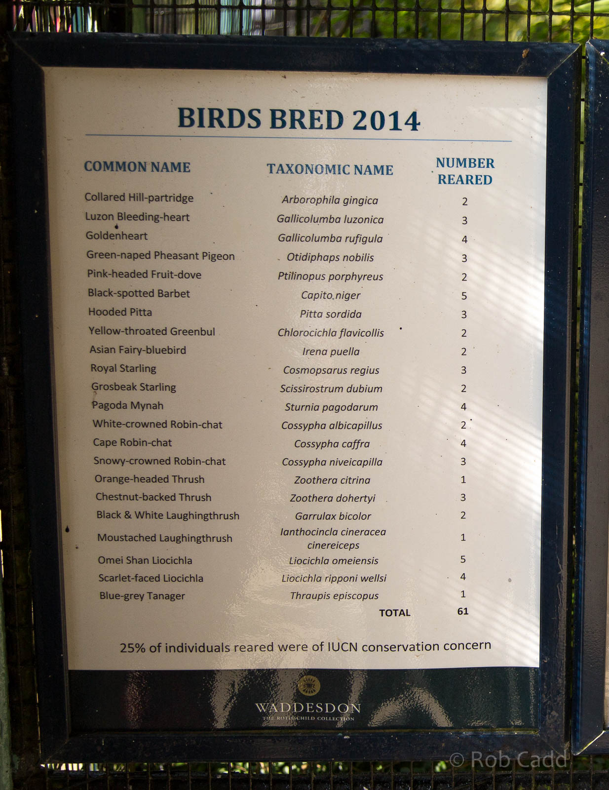 Birds bred 2014 (signage) : Waddesdon : 03 Oct 2015