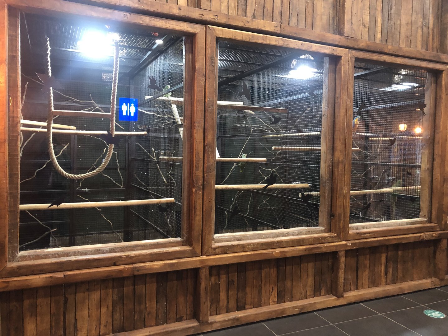 Birds Cages at ViaSea Aquarium