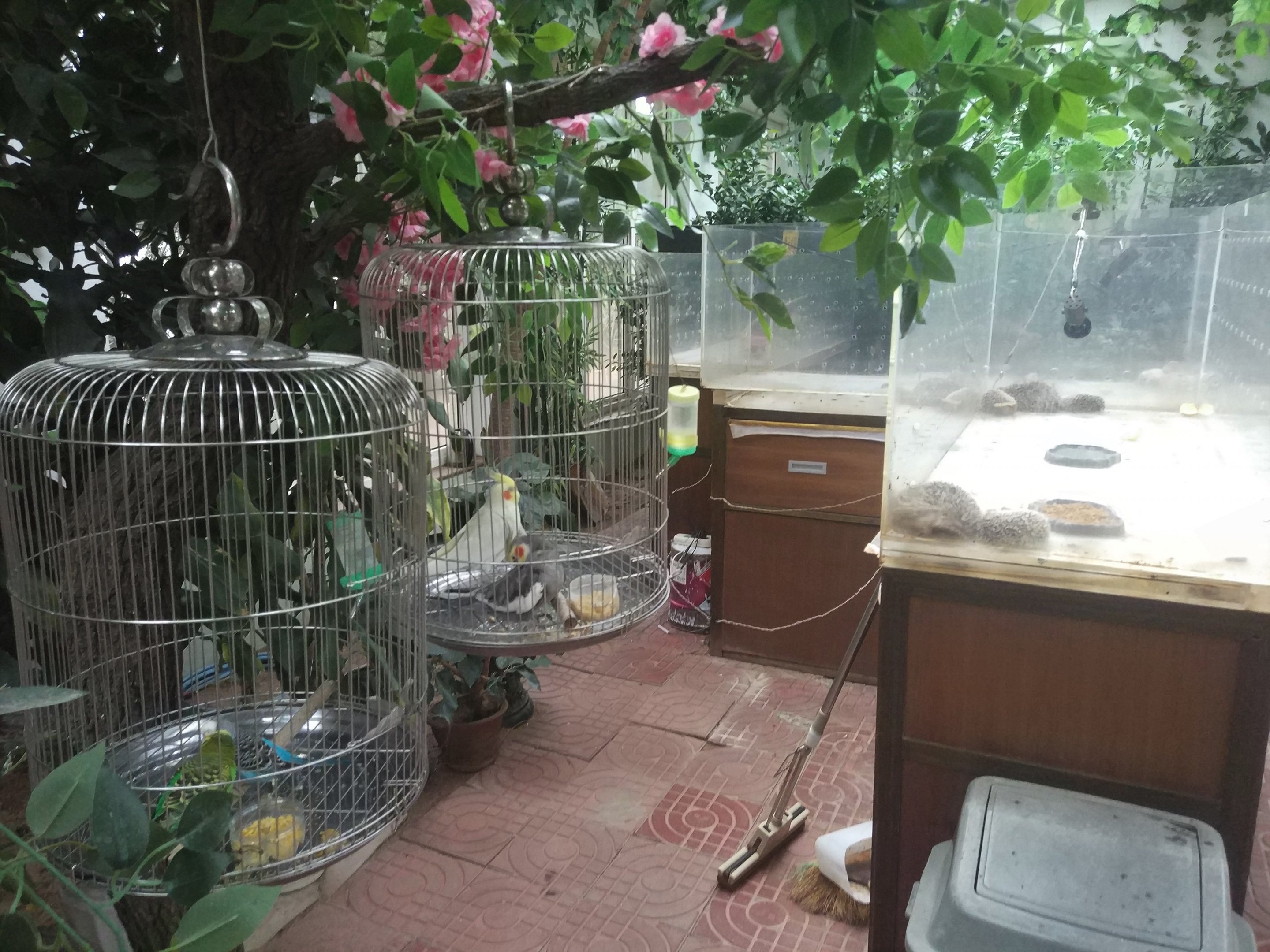 Birds Cages In The 'Discovery Centre'
