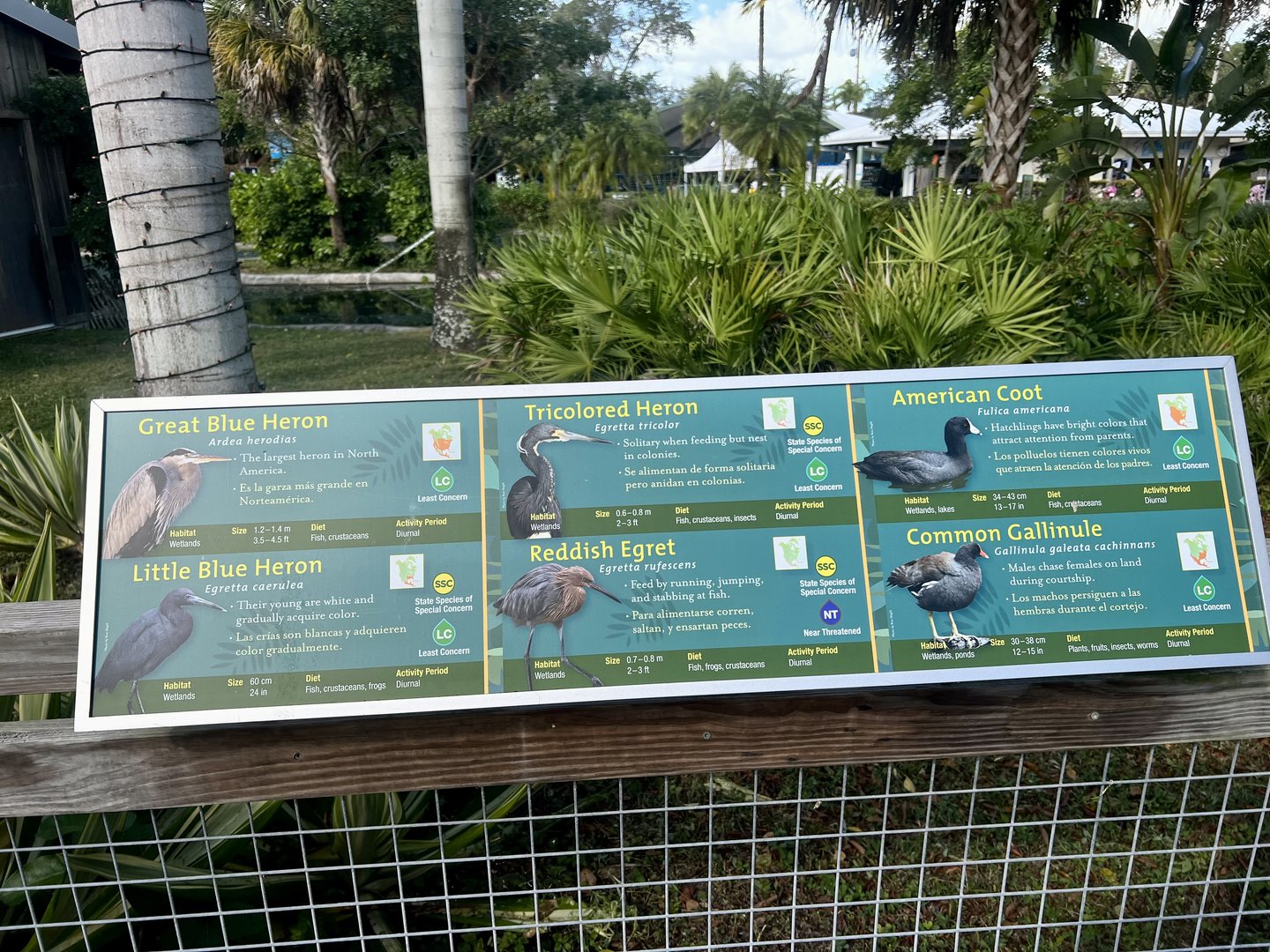 Birds exhibit the entrance Florida wetlands bird habitat