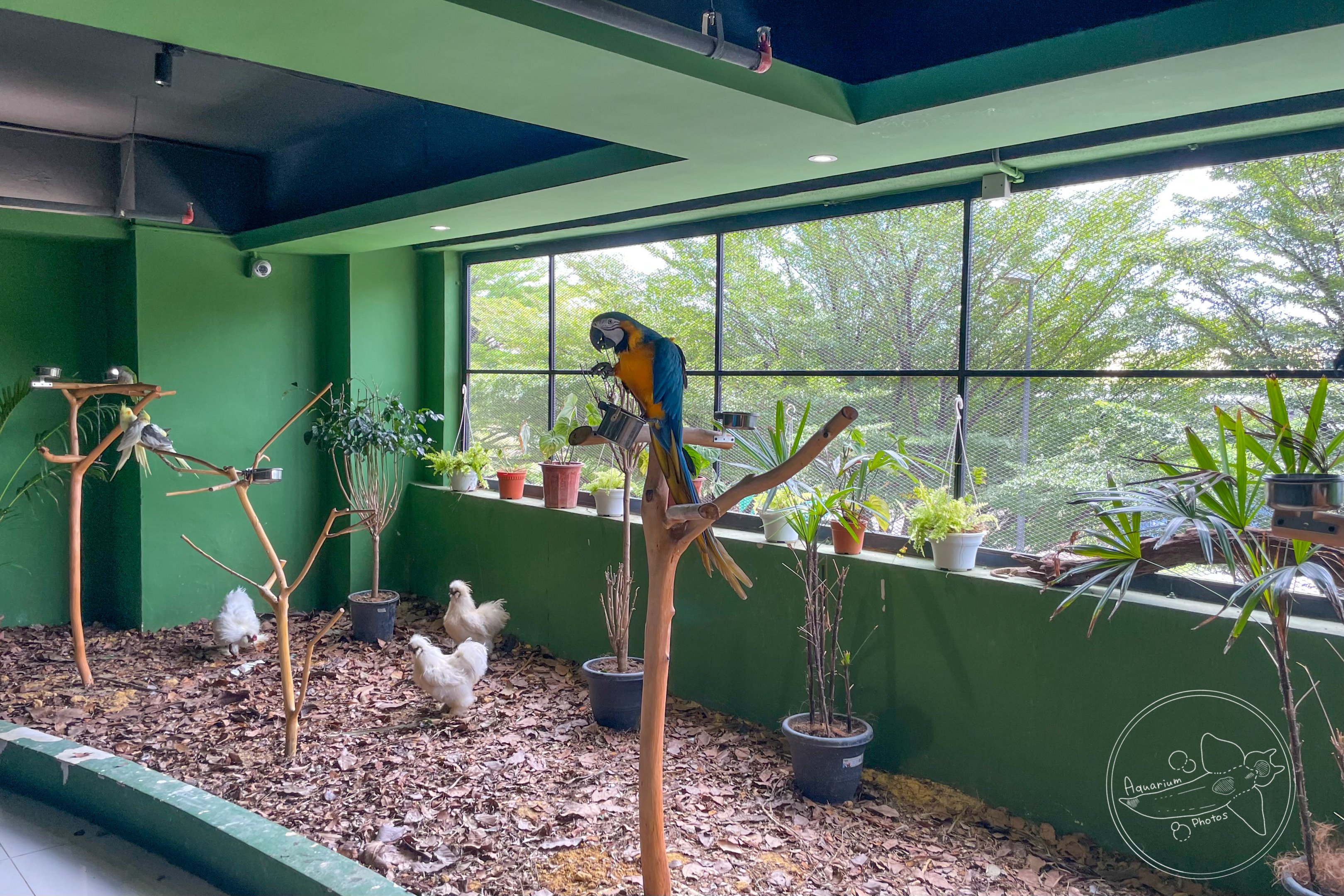 Birds Exhibit
