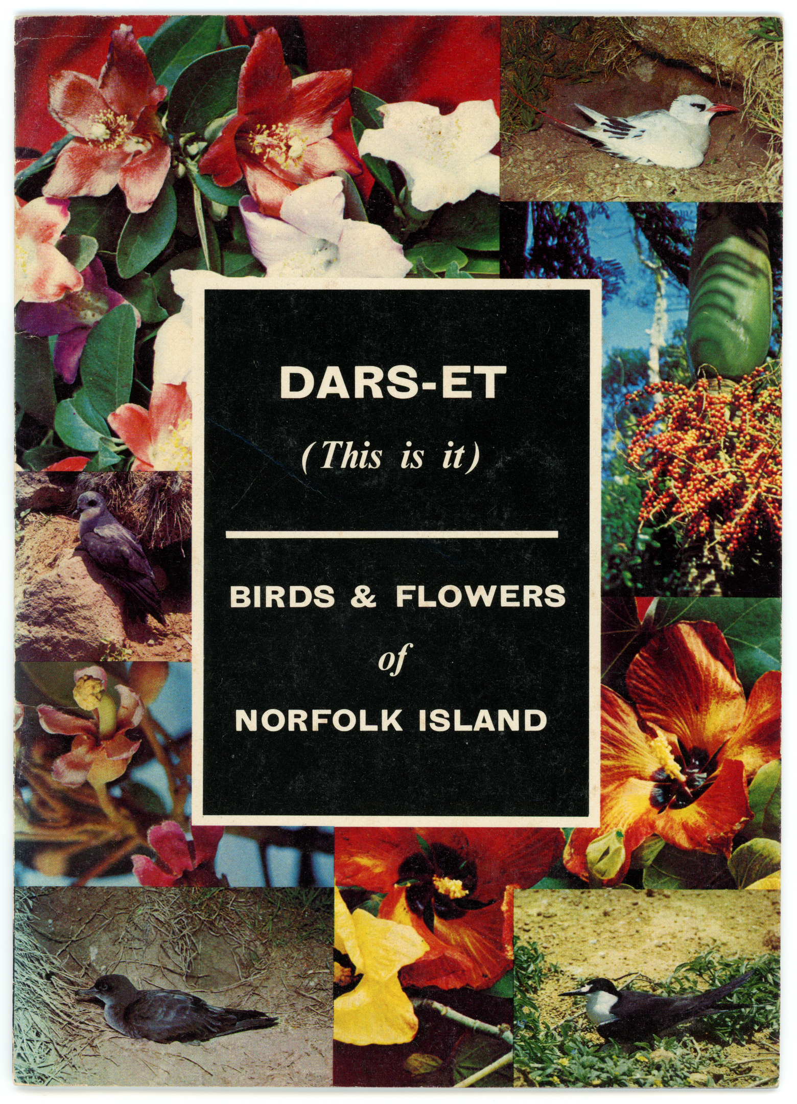 Birds & Flowers of Norfolk Island