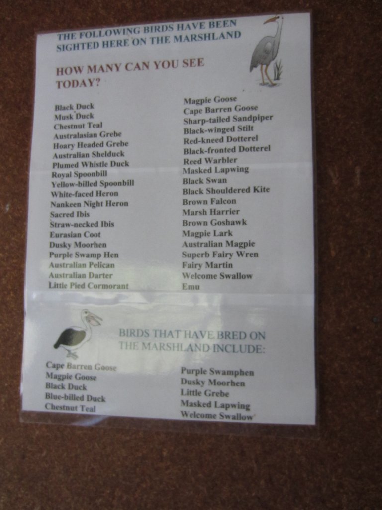 Birds found at Serendip