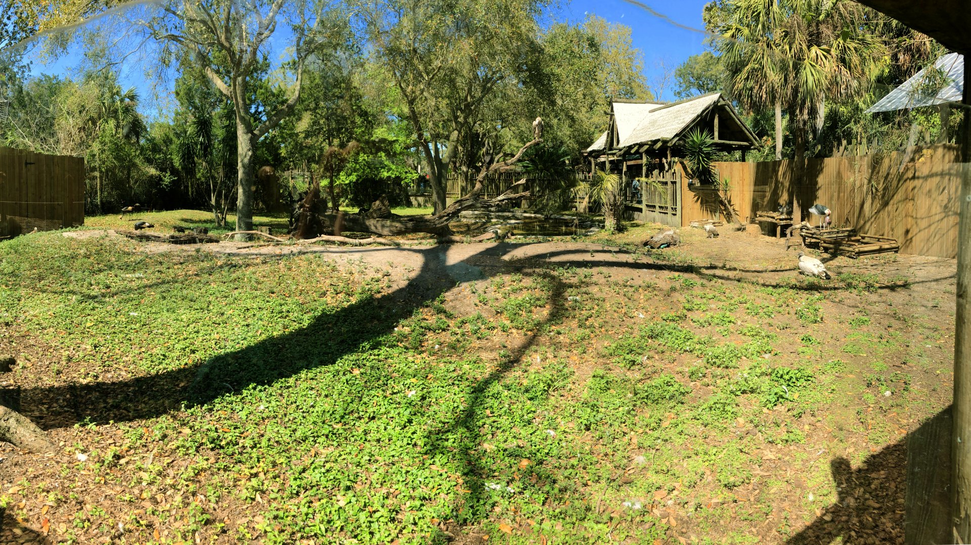 Birds of Africa 2nd View