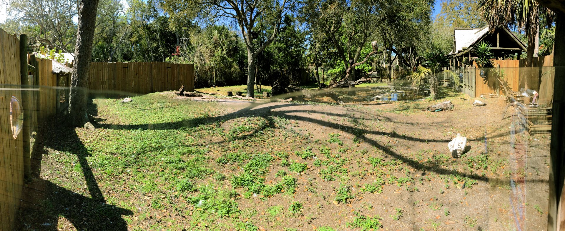 Birds of Africa 3rd View