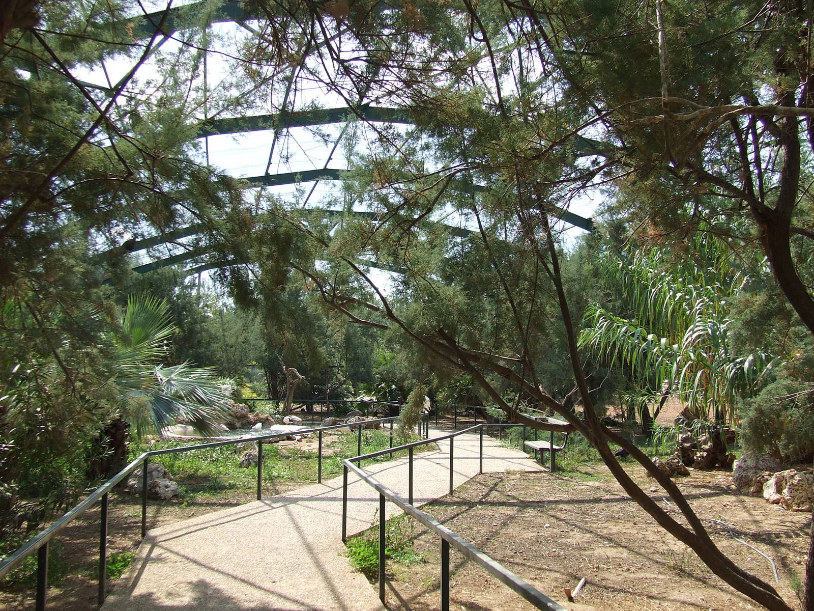 Birds of Africa Aviary