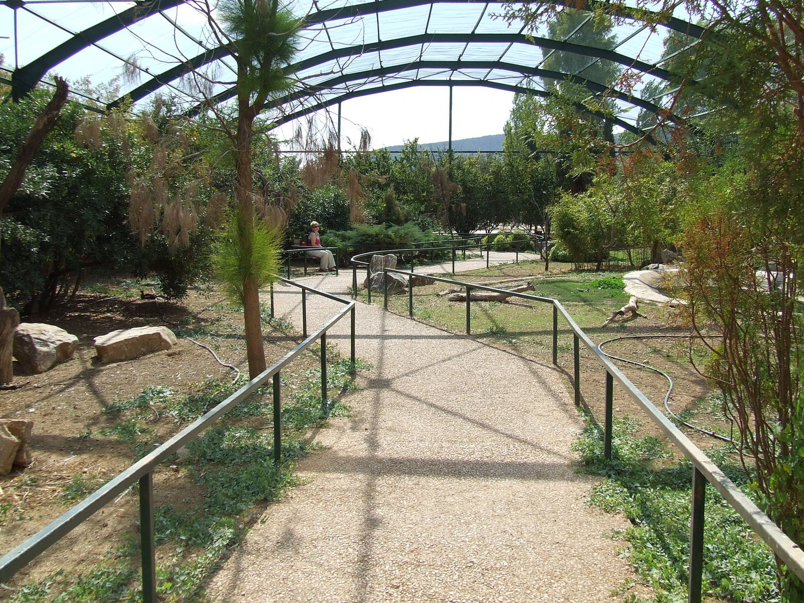 Birds of Africa Aviary