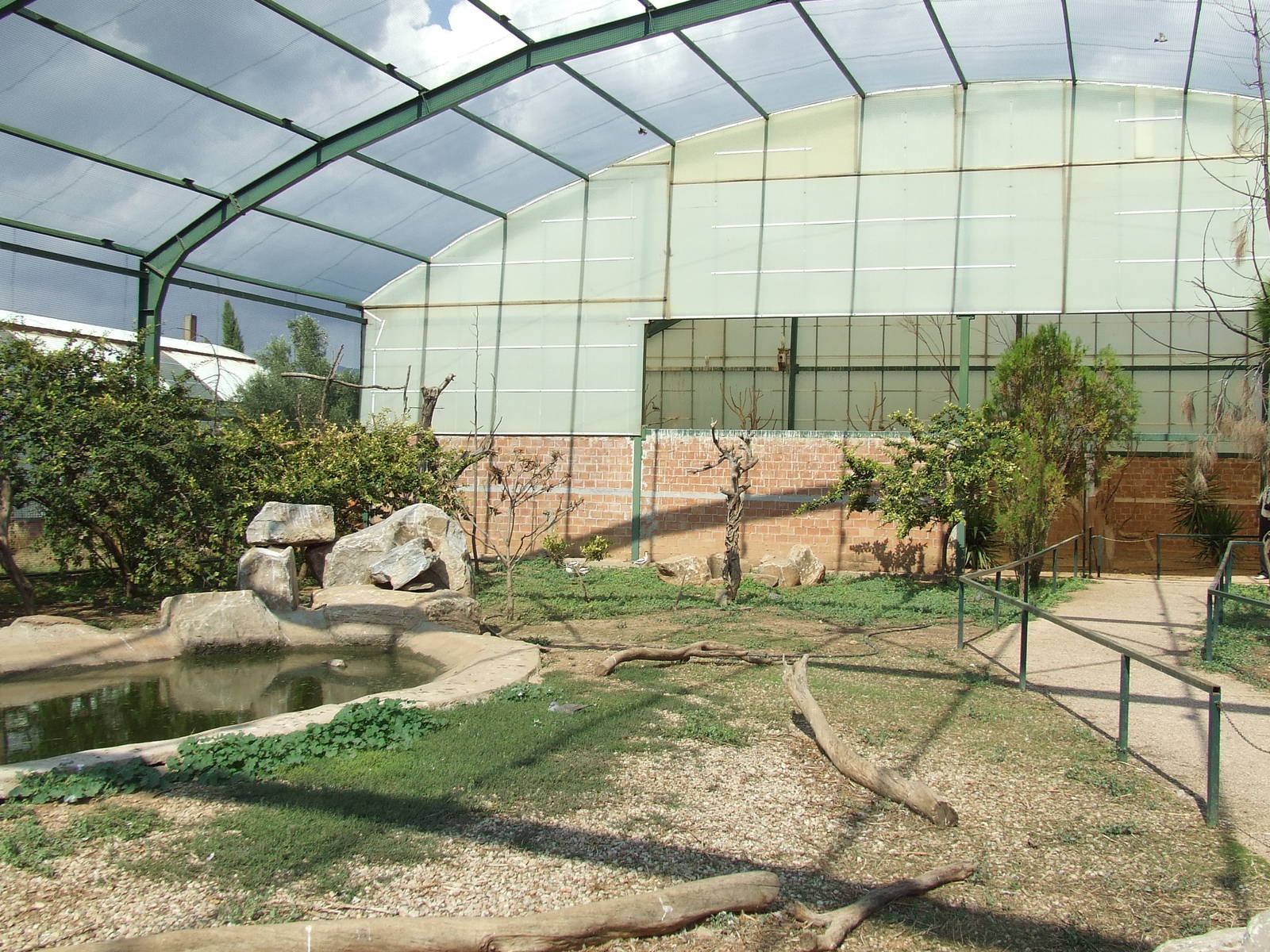 Birds of Africa Aviary