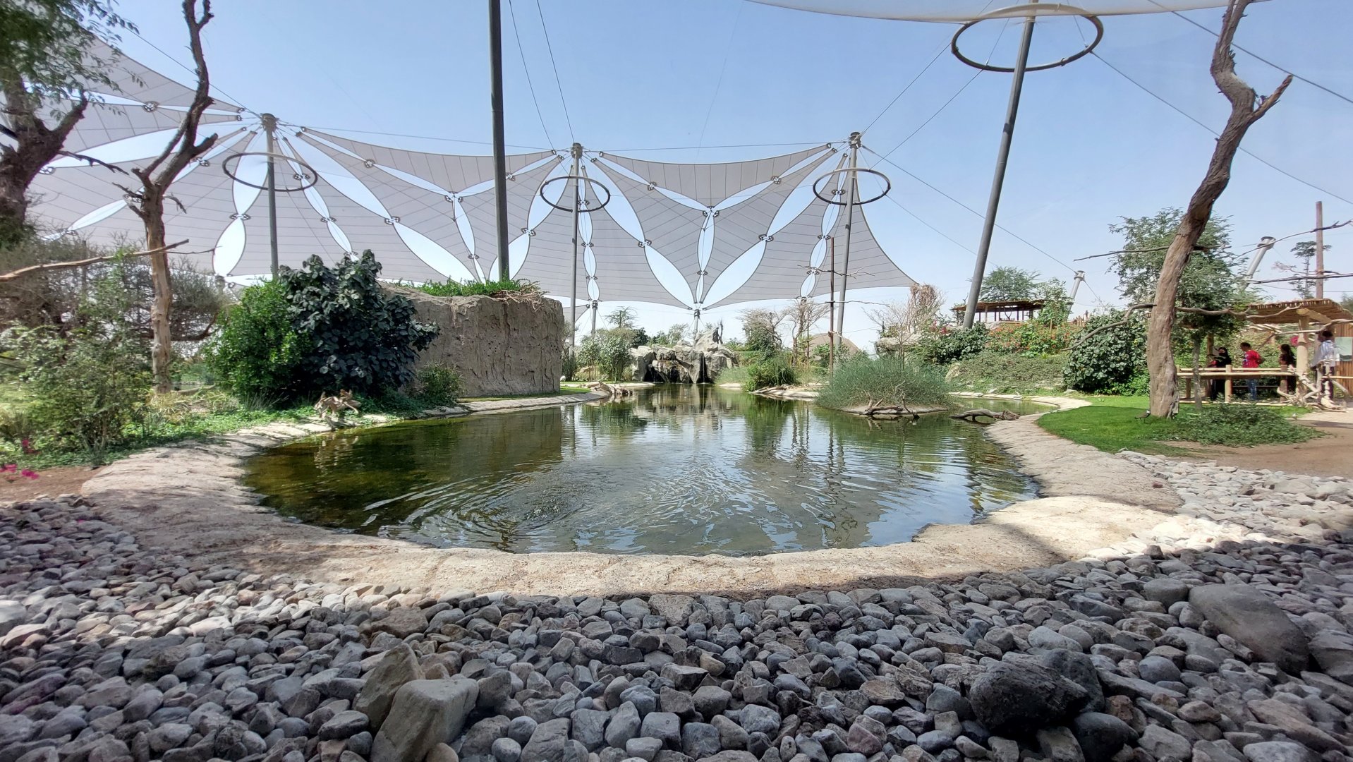 Birds of Africa Aviary