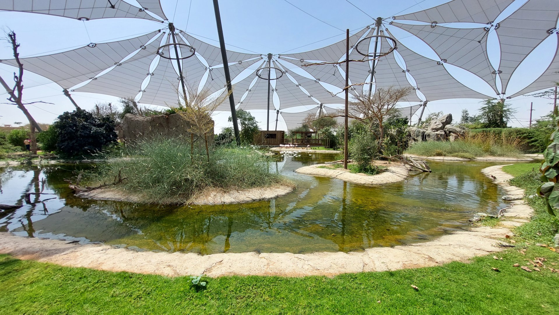 Birds of Africa Aviary