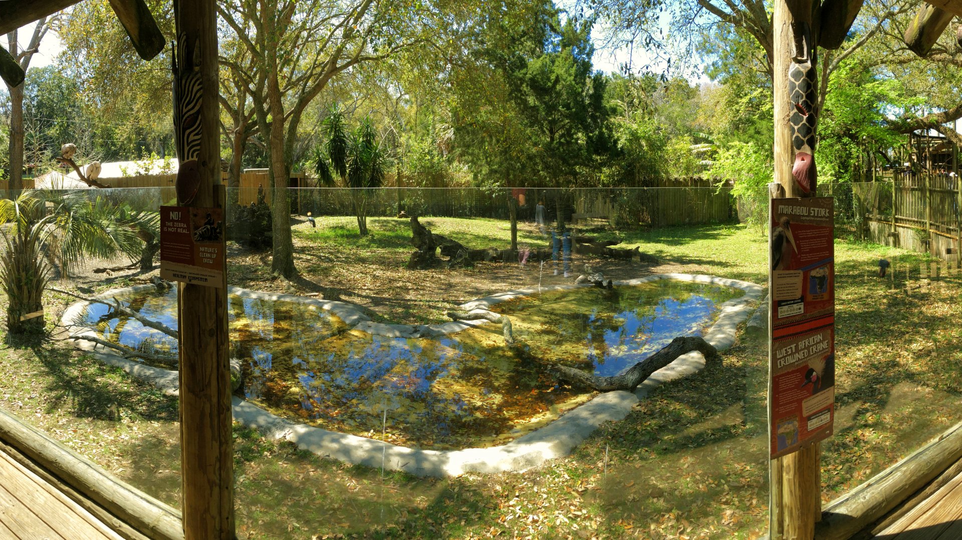 Birds of Africa Main View