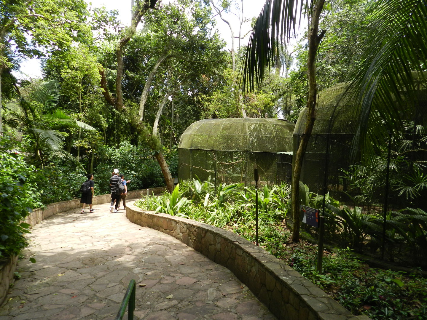 Birds of Africa trail - Zoo São Paulo