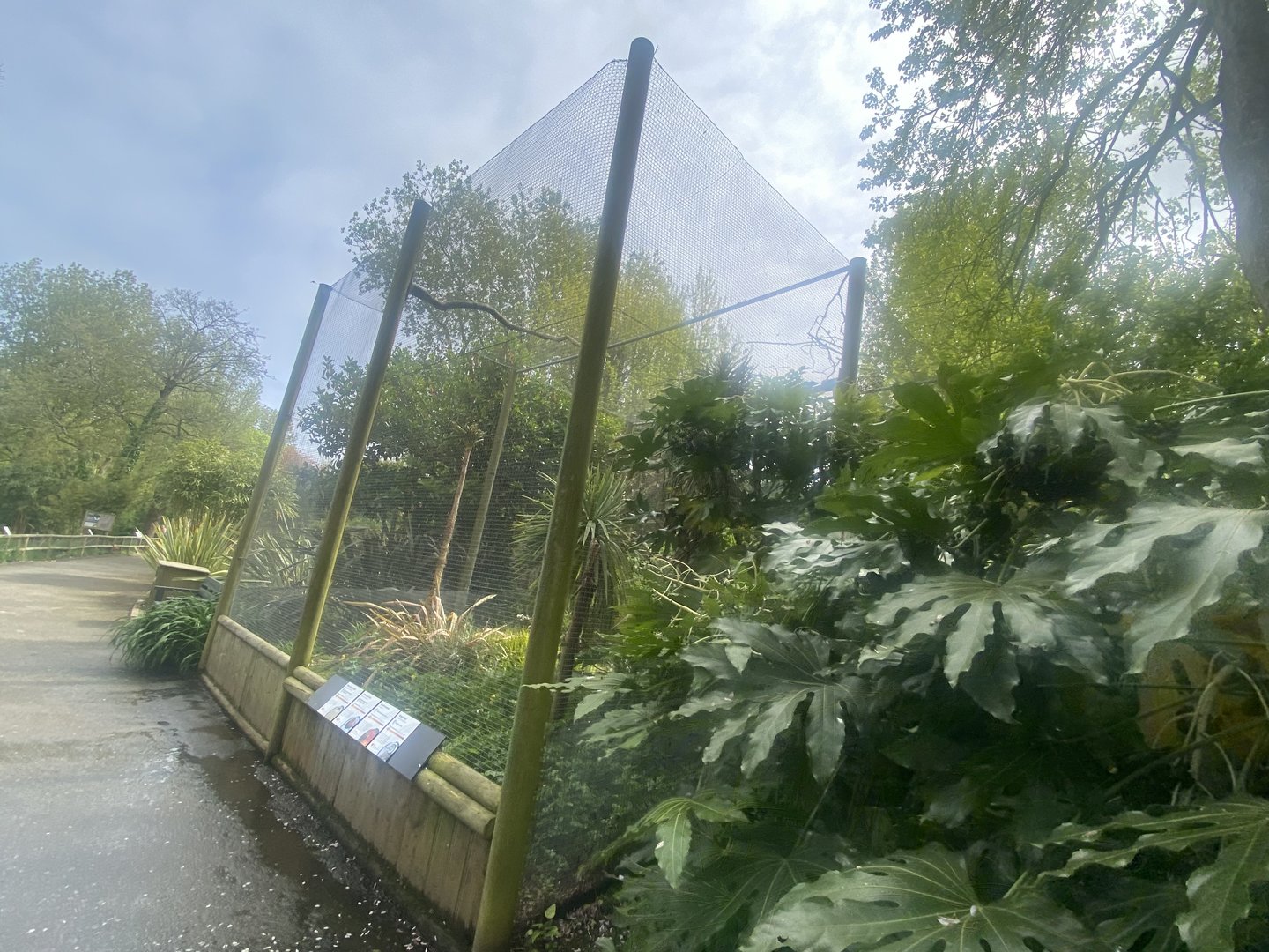 Birds of Brazil Aviary 060523