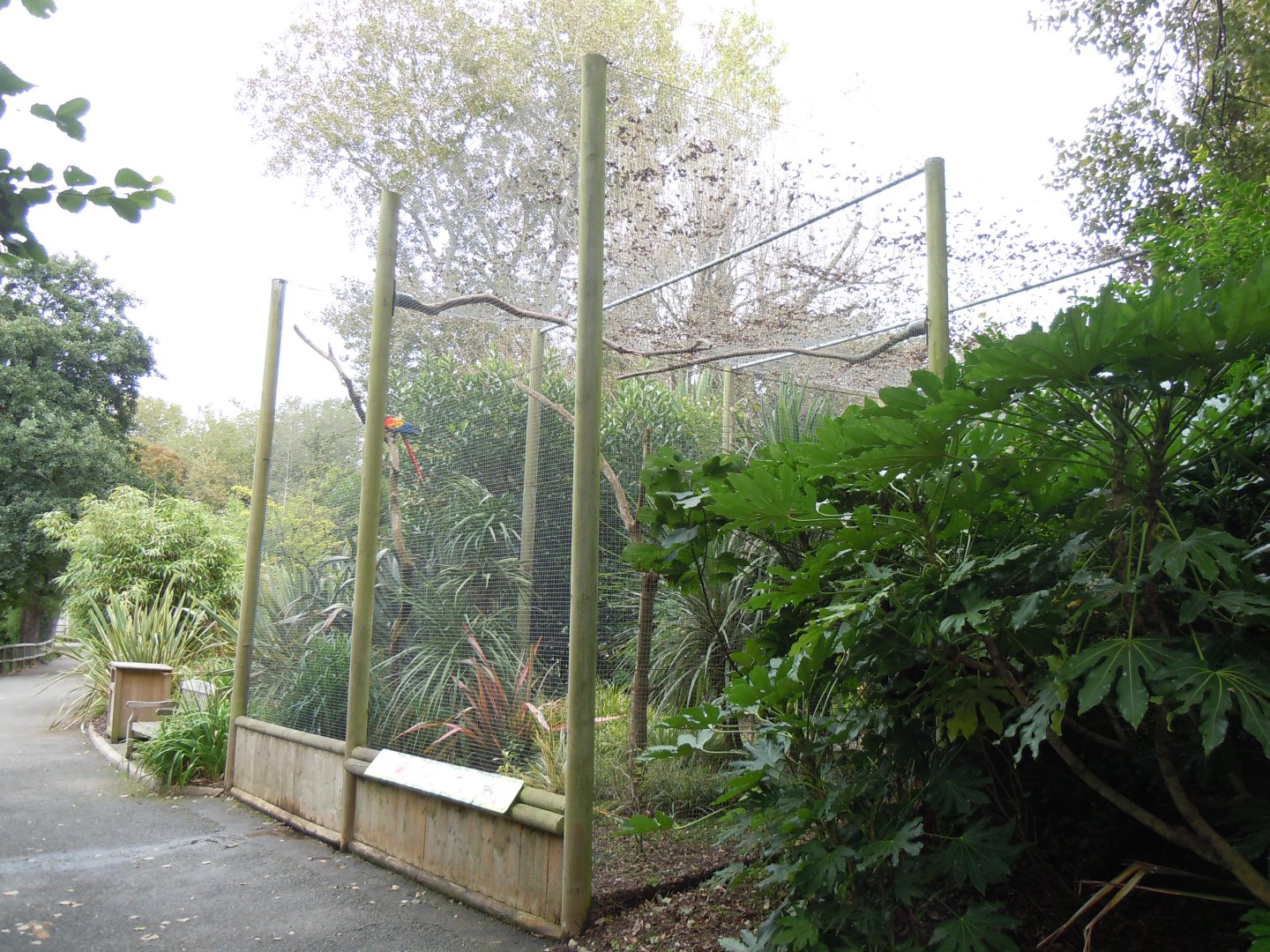 Birds of Brazil aviary 070920