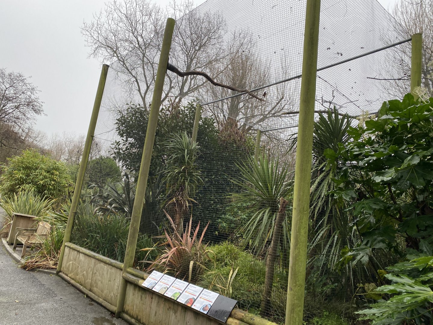 Birds of Brazil aviary 111221