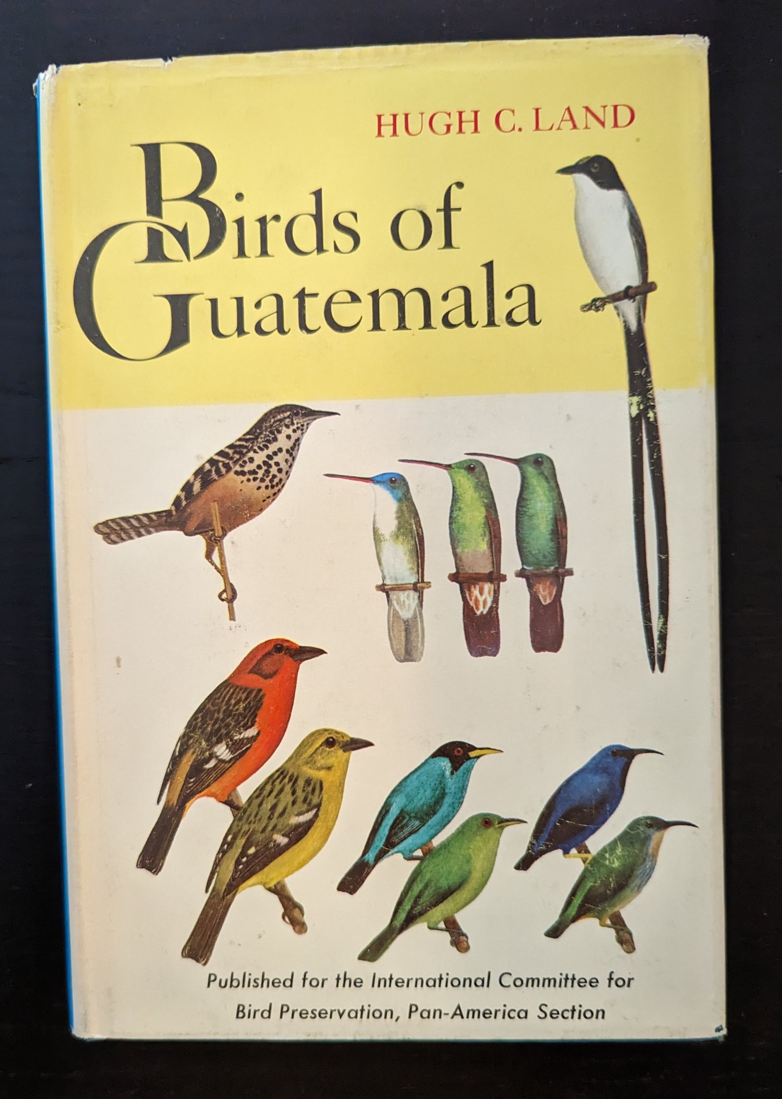Birds of Guatamala