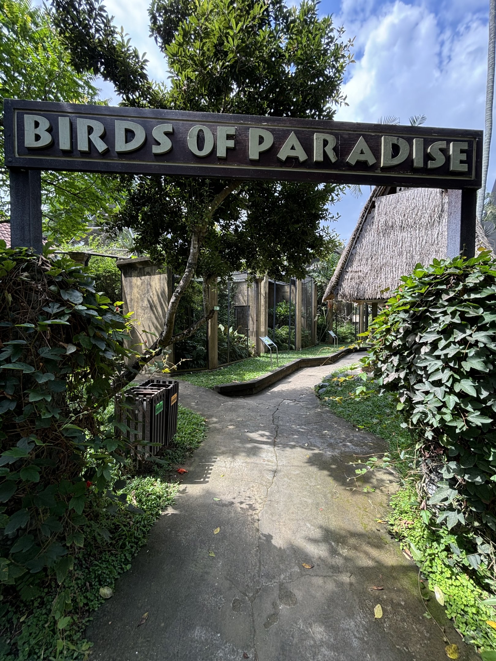 Birds of Paradise Area