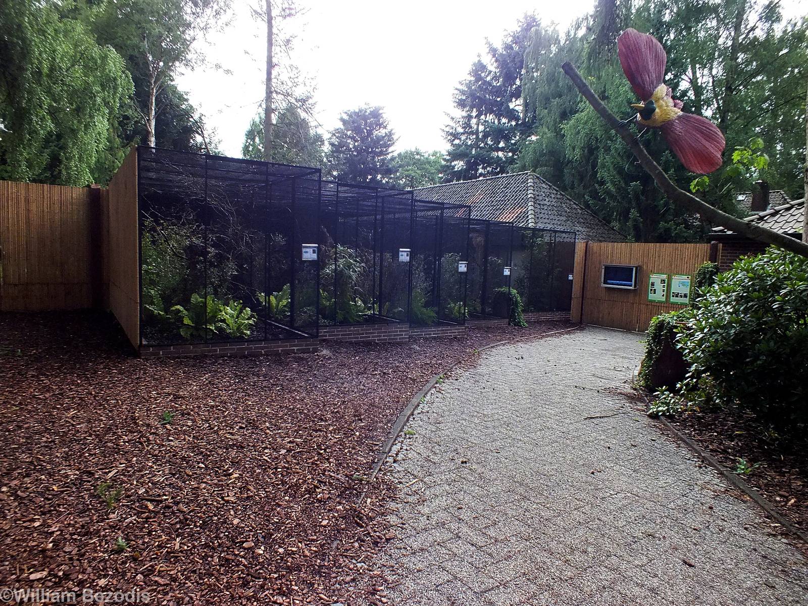 Birds of Paradise Aviaries